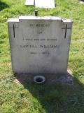 image number IMG_1181
